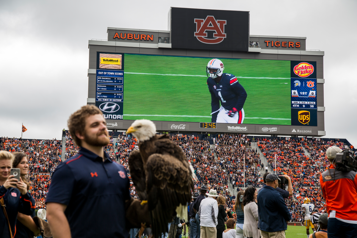 Scoreboards and LED video display solutions for stadium