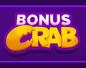 wildsino casino no deposit bonus