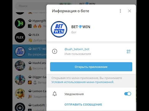 bet4win отзывы