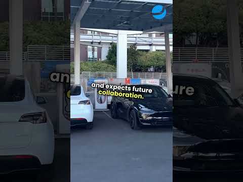 dancing with spin rise spin