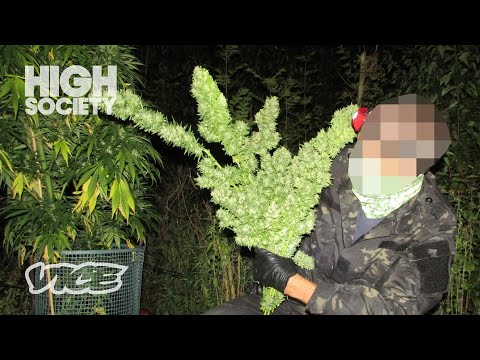thc products online